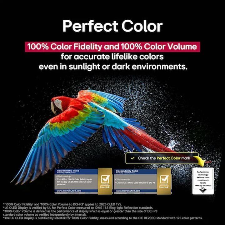 LG OLED evo AI CS5 4K Smart TV 55 Inch, α9 AI Processor 4K Gen8, AI Super Upscaling 4K, webOS 25, AI Magic Remote - Black - OLED55CS5VA
