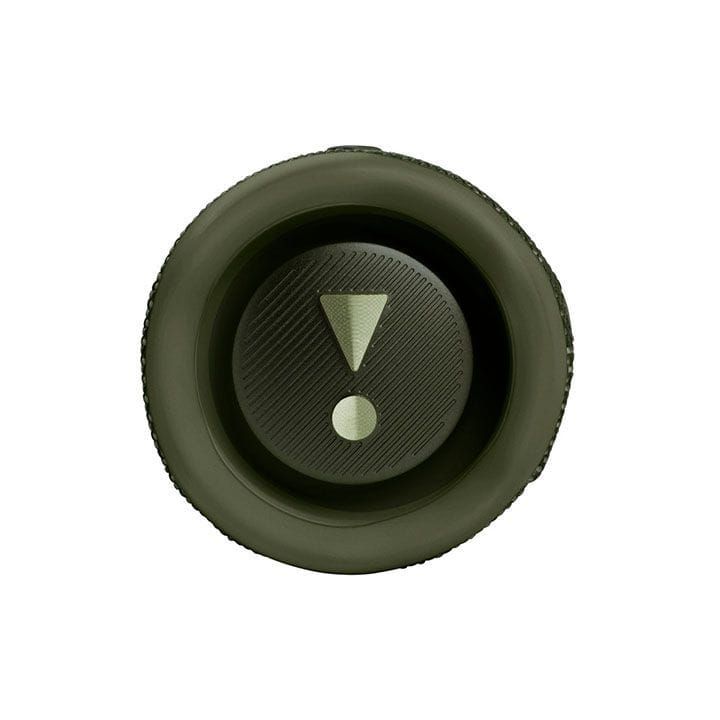 JBL Flip 6 Portable Waterproof Speaker - Green