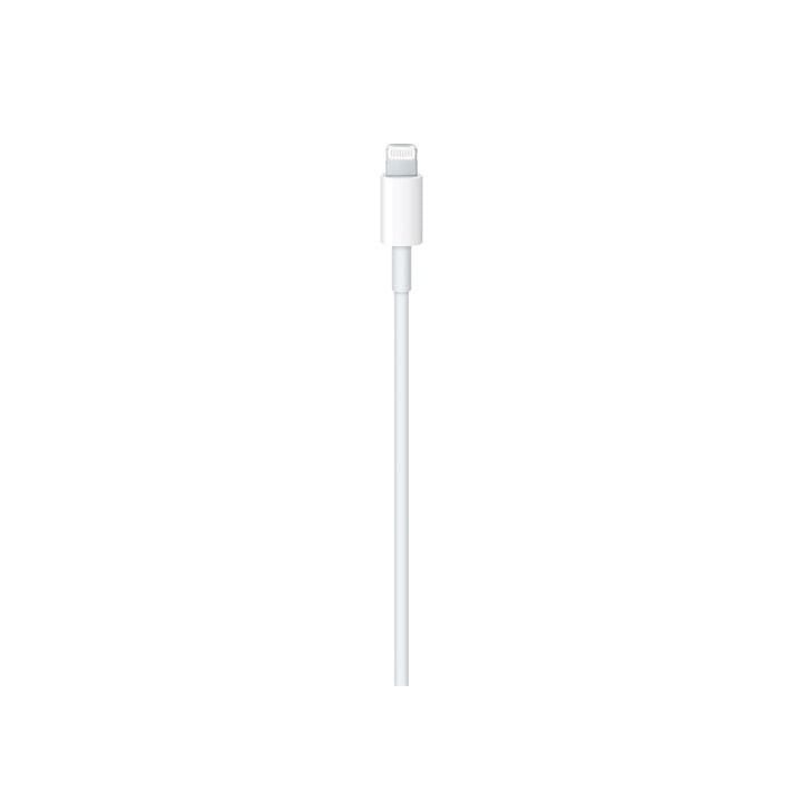 Apple USB-C To Lightning Cable 1M, Fast And Reliable Charging And Data Transfer - White - MUQ93ZE/A